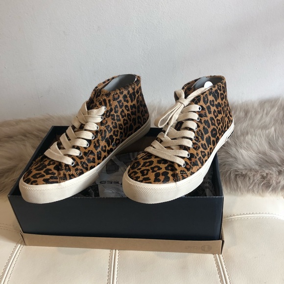 seavees leopard
